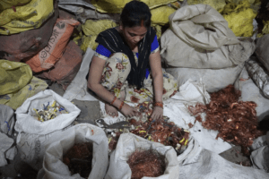 “We are losing not only work, but survival”: India’s informal workers on the green transition